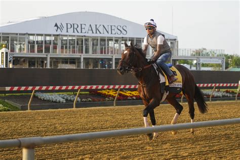 current odds preakness horse race